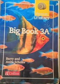 Image of Big Book 3A