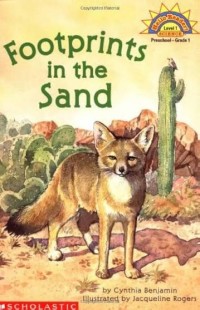 Image of Footprints In The Sand