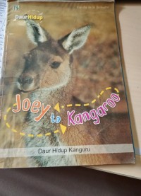 Image of Joey to Kangaroo: Daur Hidup Kangaroo
